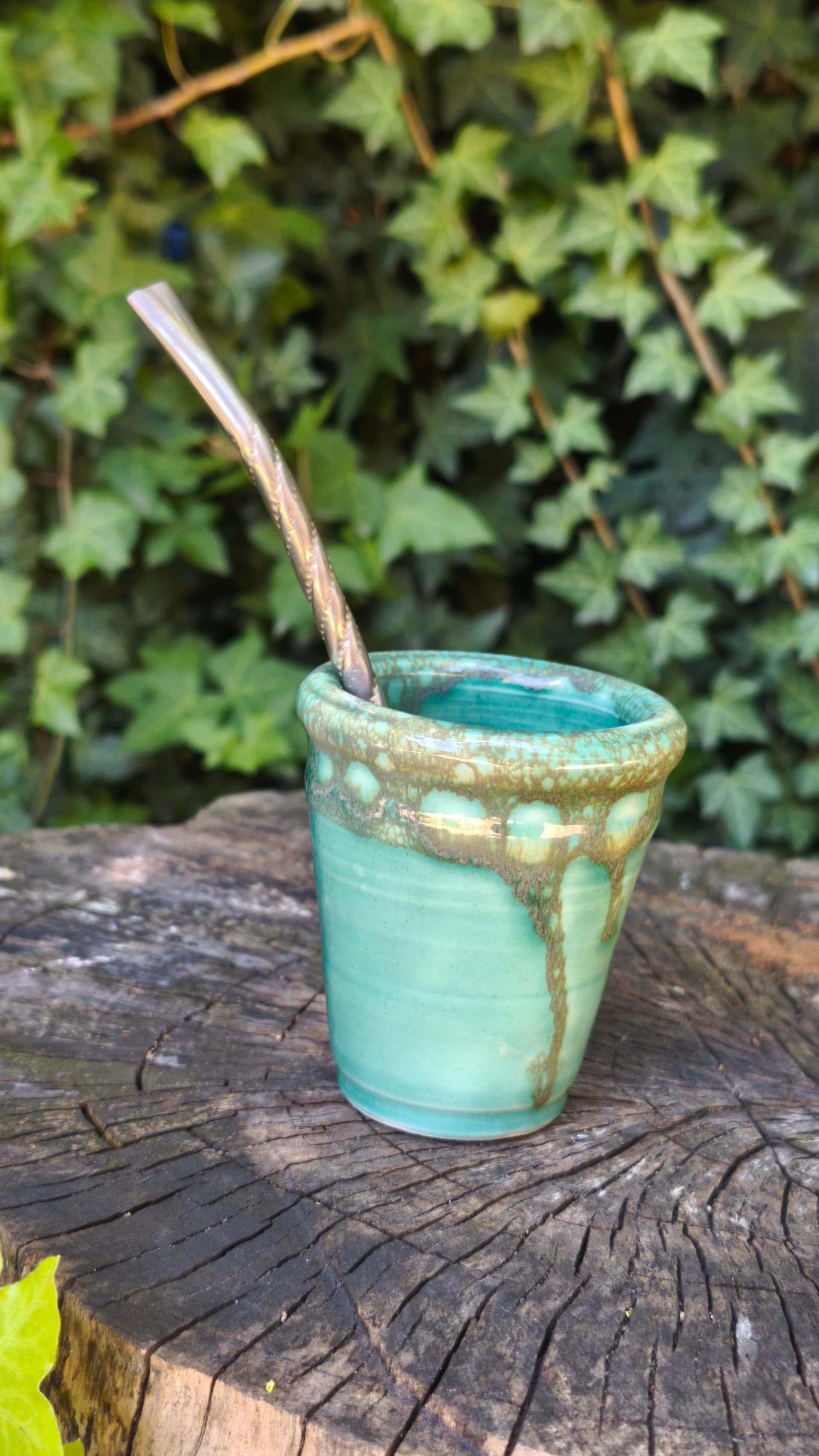 Mate Bosque 01