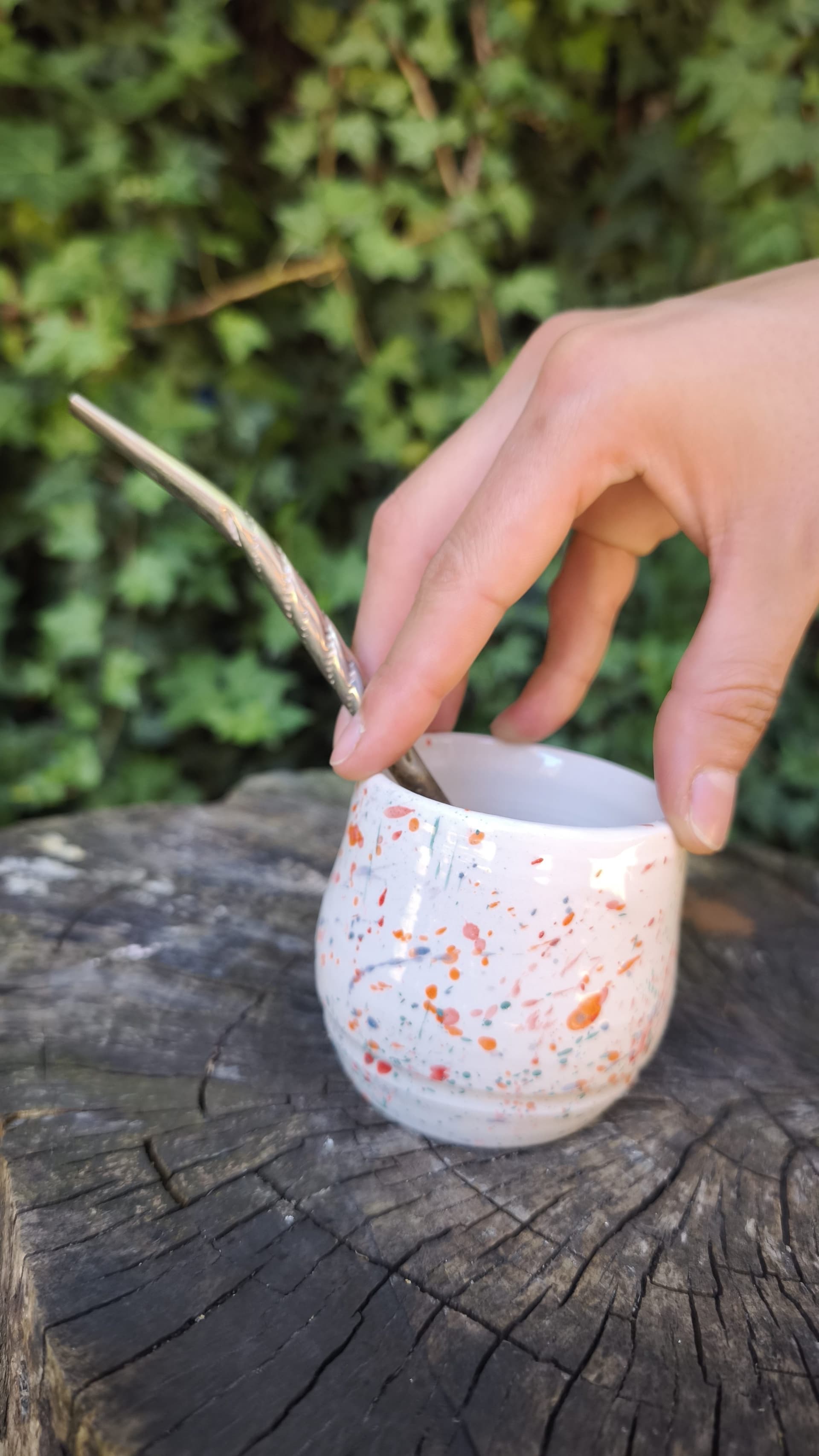 Mate Salpiqué 01