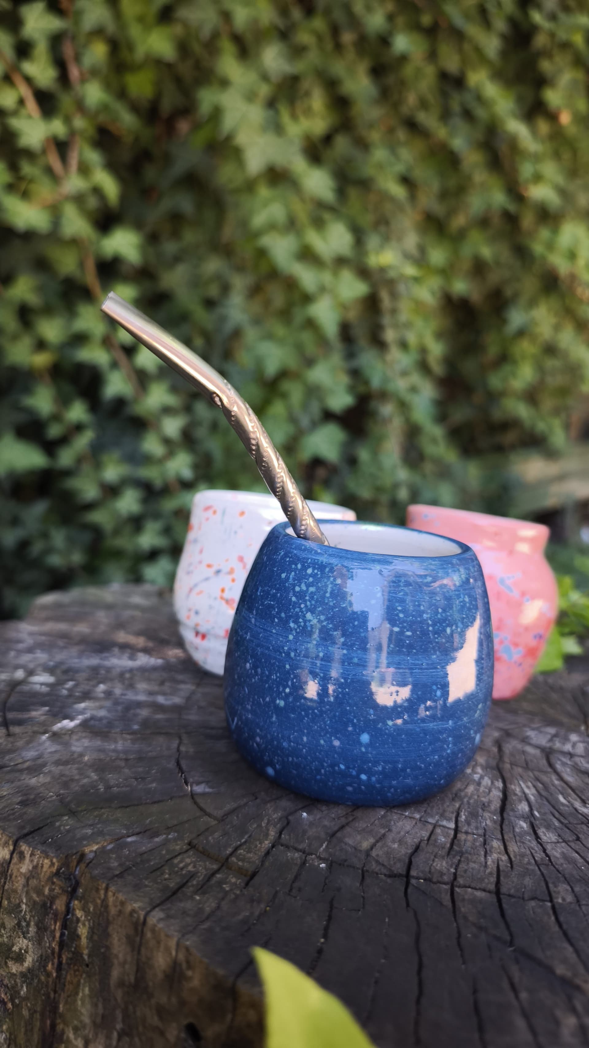 Mate Salpiqué 02