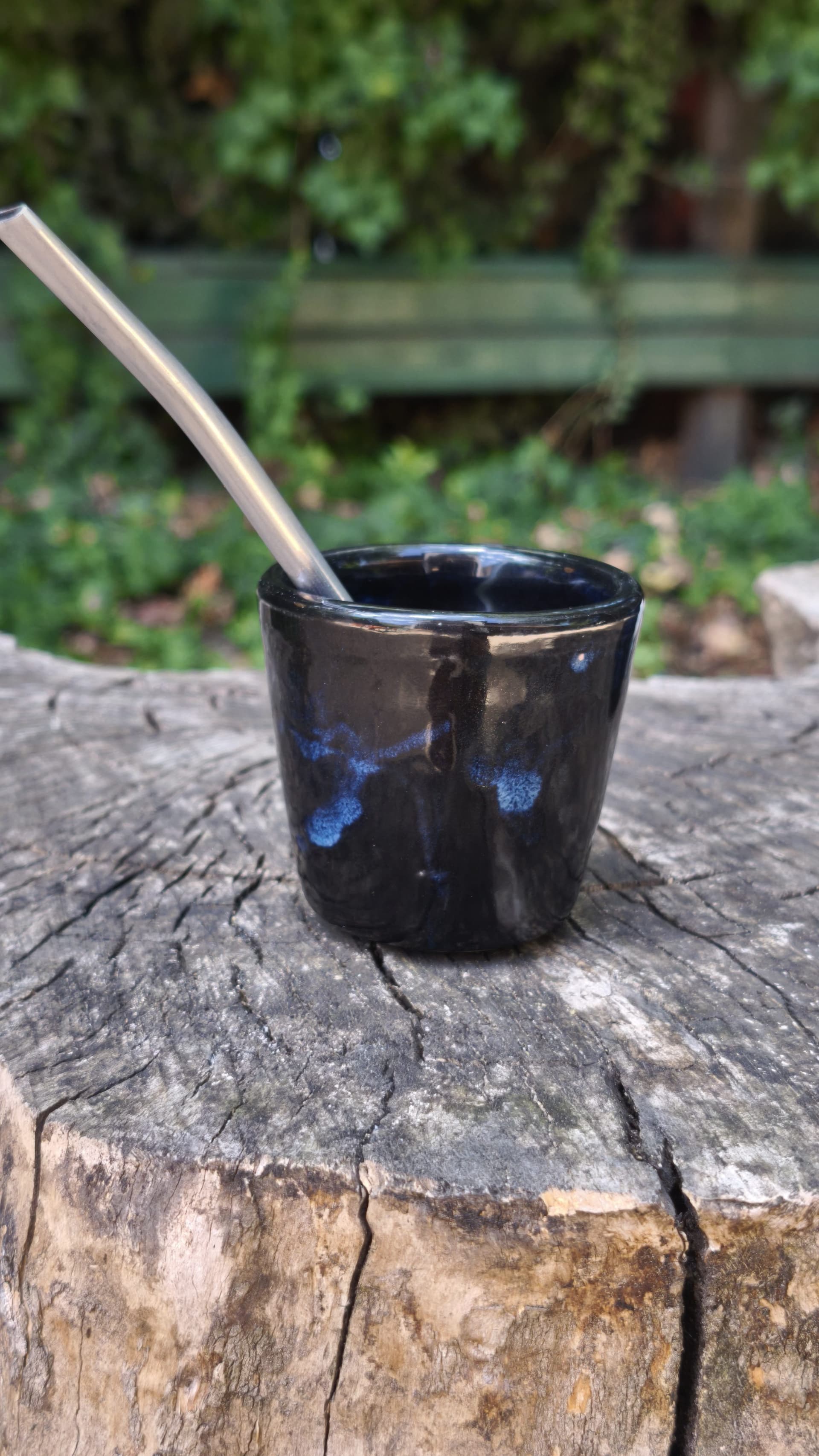 Mate Interestelar